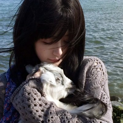 新机动战记高达W 无尽的华尔兹